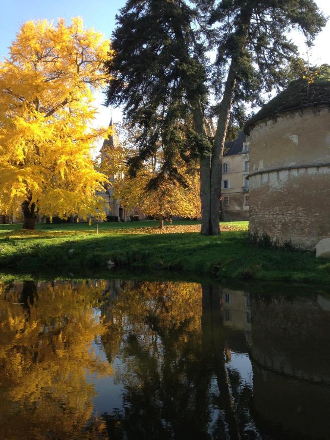 Chateau De Bresse Sur Grosne Exterior photo