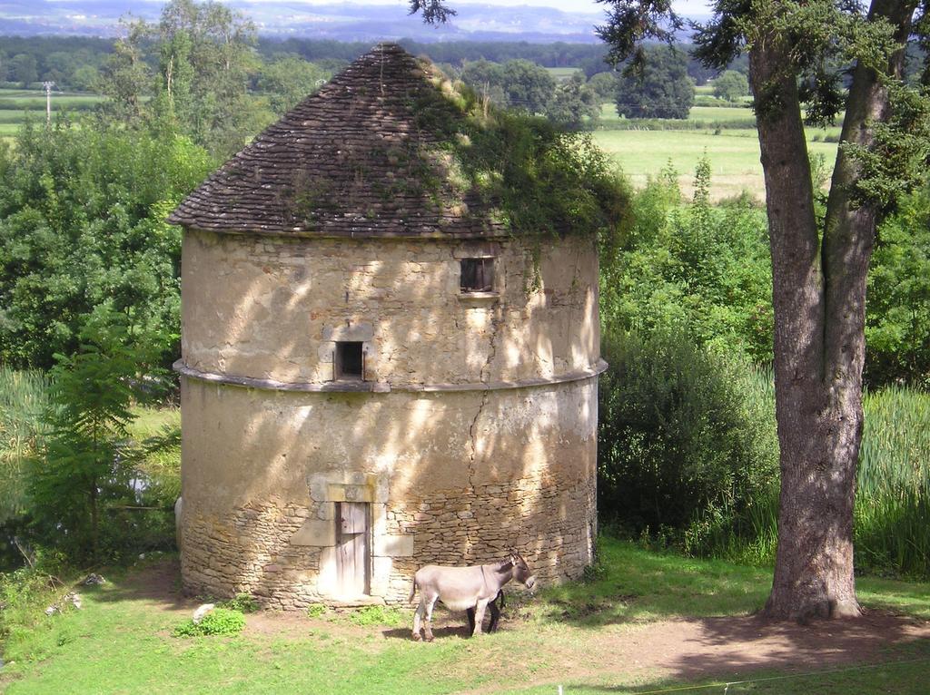 Chateau De Bresse Sur Grosne Exterior photo